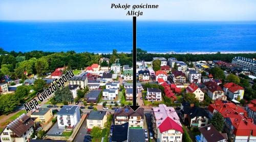 Top location Alicja klebba