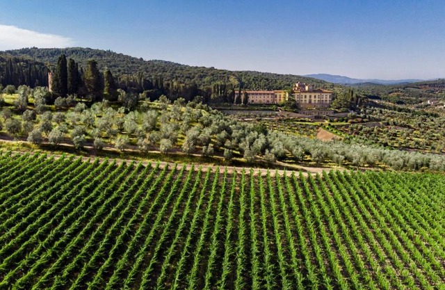 Torre a Cona Wine Estate