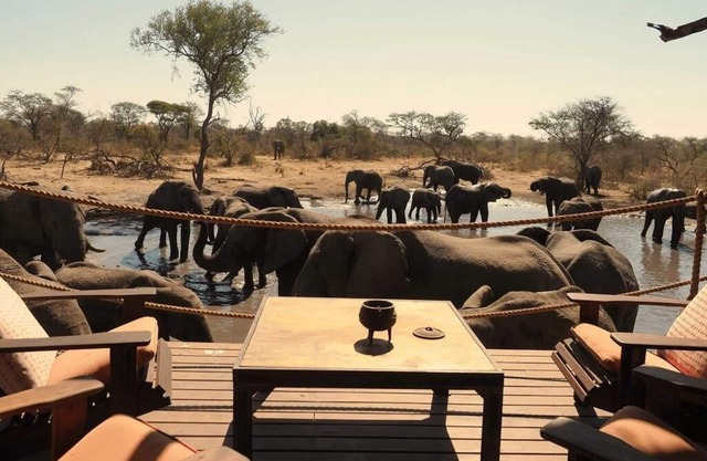 Total privacy in Botswana's wilderness!