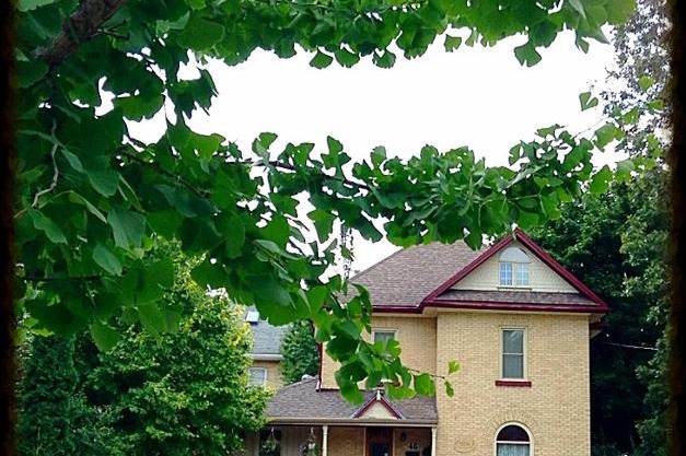 Tranquil Days Guest House - a truly exceptional bed and breakfast