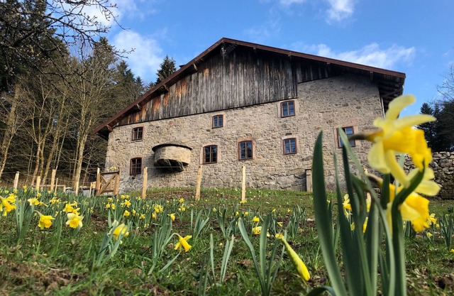 Tranquil Farmhouse Retreat in Vosges with Parking