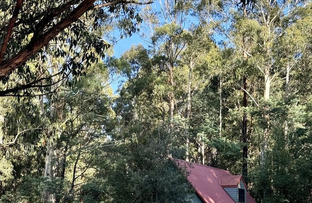 Tranquil getaway amidst nature in Icy Creek, near Toorongo Falls & Mt Baw Baw.