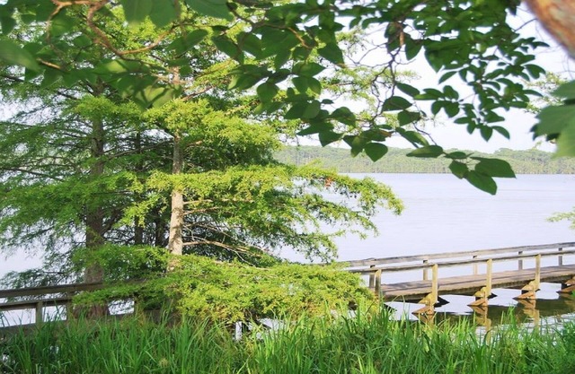 Tranquil Getaway - Fishing Haven