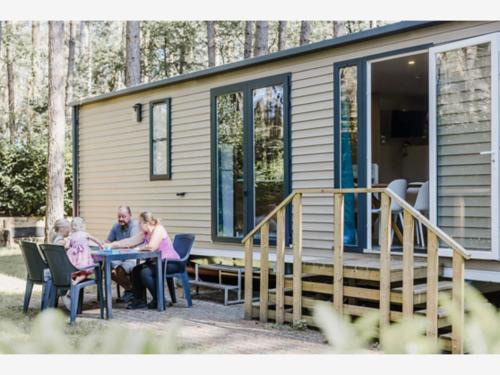 Tranquil pine forest chalet in Antwerp Kempen