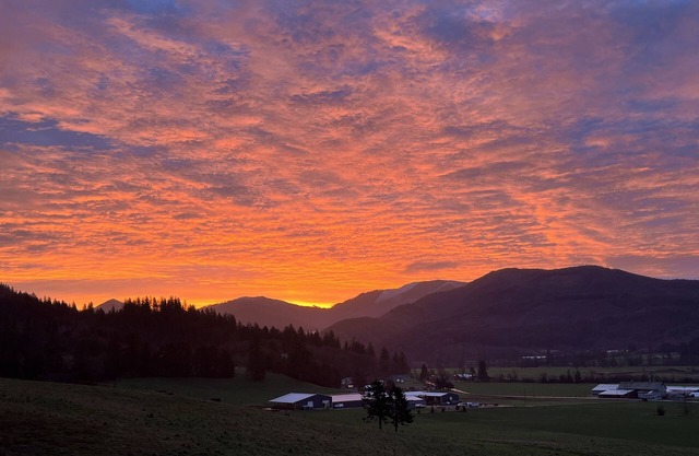 TRASK RIVER HOUSE: A unique home with great views!nMax 9 adults, 3 kids