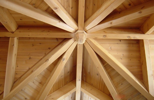 Tree House getaway with swimming, 18km of Hiking and MTN Biking Trails.