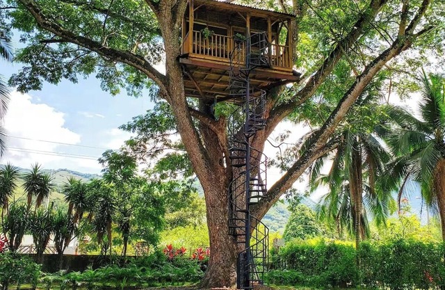 Tree house Lunna, near Bogota in Utica Cundinamarca