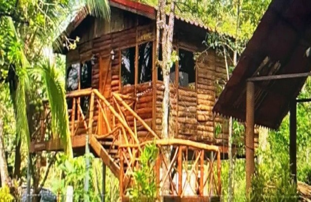 Tree House River