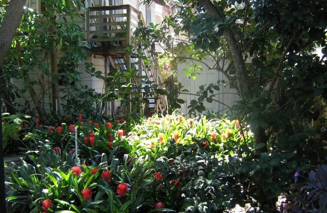 Treehouse 1BR Apt. Near Downtown, Monthly Only