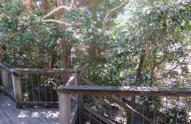 TREEHOUSE - ARAKOON LARGE FAMILY HOME