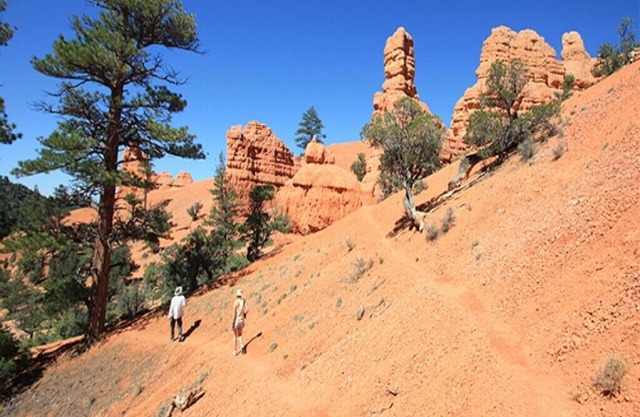 Trek to the top of Brian Head Peak and immerse yourself in the beautiful trails.