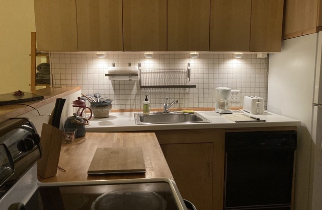 Tribeca Live/Work Downtown Vacation Loft Apt