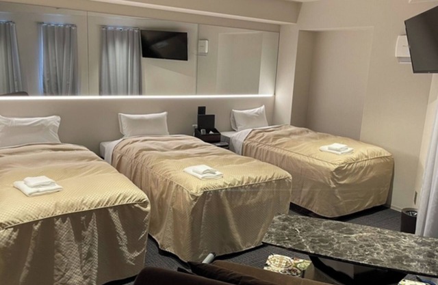 Triple room standard without meals plan/Nara Nara