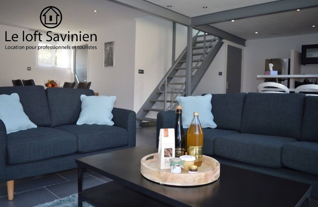 TROYES - Quiet loft with terrace