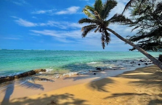 Turtle Beachfront, snorkeling, free parking, wash-dryer in unit, New bigger AC.