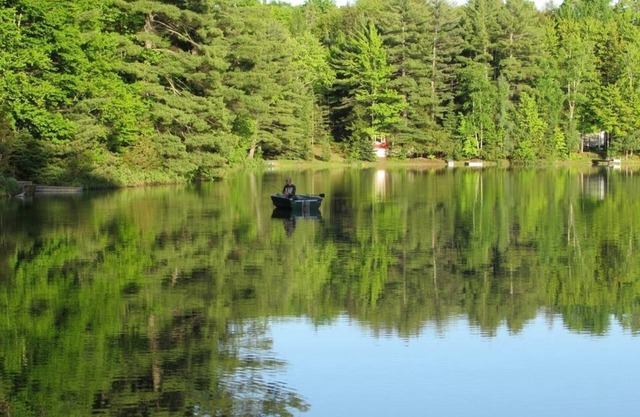 Turtle Cove on Town Lake: Your Private Summer Retreat – Kayaks, Fishing & More!