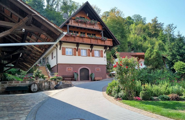Two apartments near the city in a quiet location