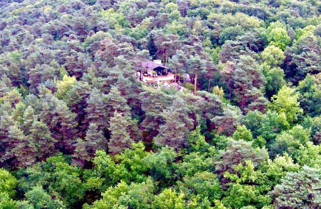 Two architect houses in the forest