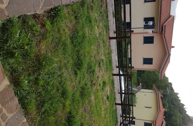 Two rooms detached house with garden