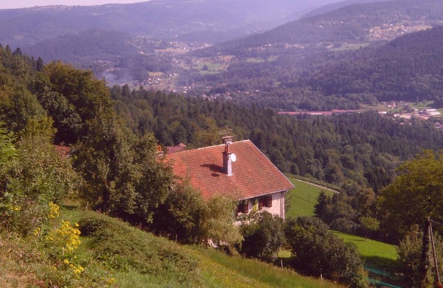 Typical Vosges chalet - sleeps 9 (excluding babies)