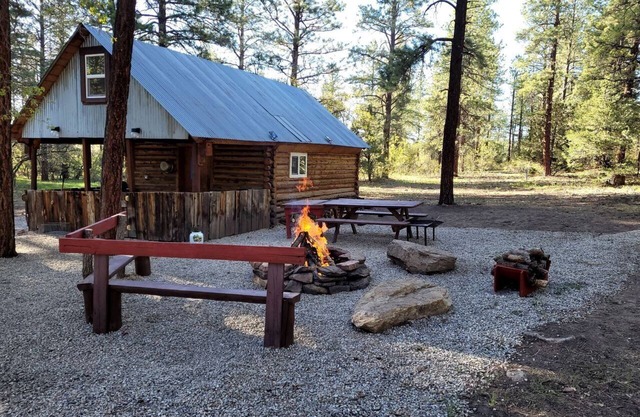 Unique Cabin Rental in Colorado for a Weekend Getaway in the USA