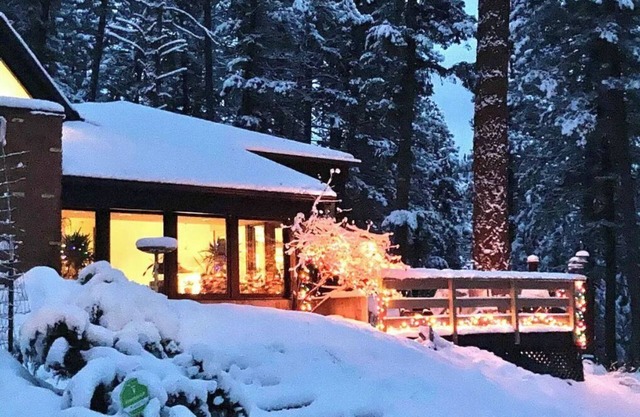Unique Private Forest Home & Retreat ~ 15 minutes from Downtown.
