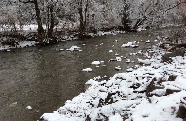 Unit #1 On The Trout River **PET FRIENDLY 🐾🐕