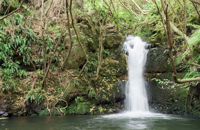 Unwind and relax amongst stunning native bush
