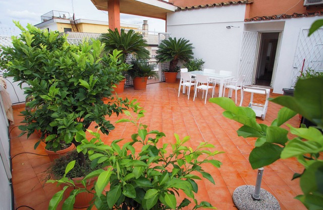 Urban Oasis. The Vatican Roof Garden