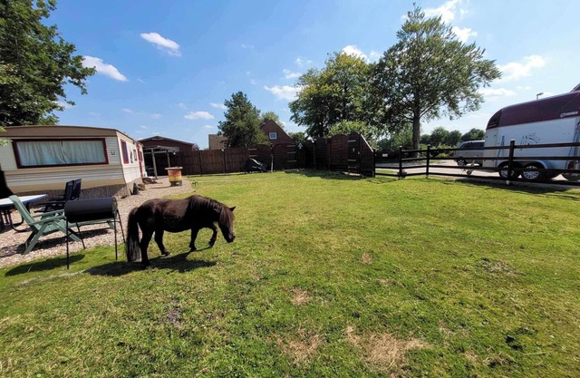 Urlaub mit Ponies und Campingflair