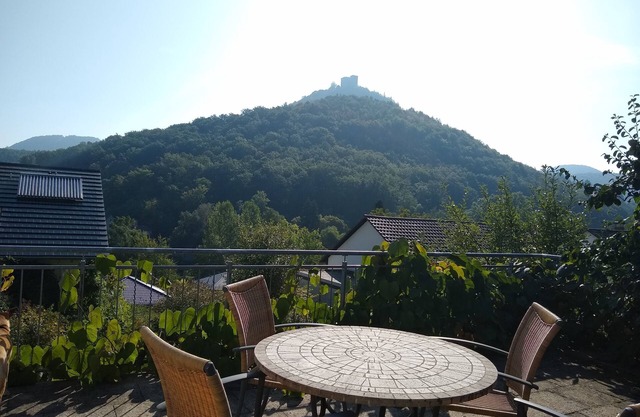 Vacation apartment/apartment for 6 guests with 90m² in Annweiler am Trifels (124059)