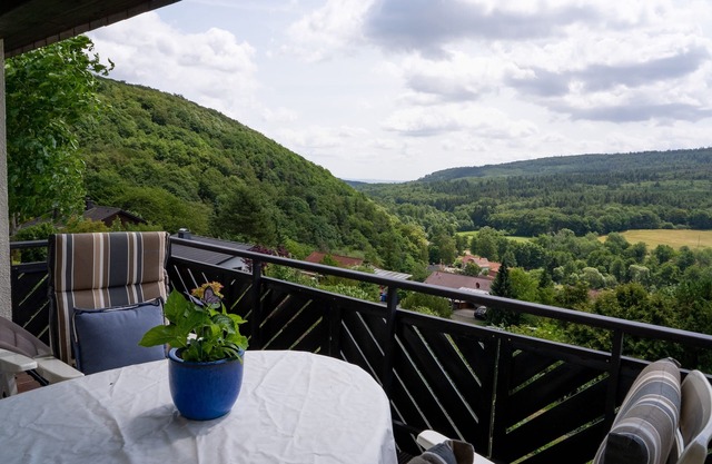 Vacation apartment/apartment for 4 guests with 95m² in Bad Wildungen (267955)