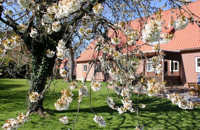 Vacation apartment/apartment for 8 guests with 140m² in Suderburg (20537)