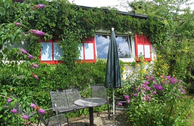 Vacation apartment in green in north Berlin on the edge of the forest