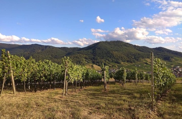 Vacation apartment near Baden-Baden