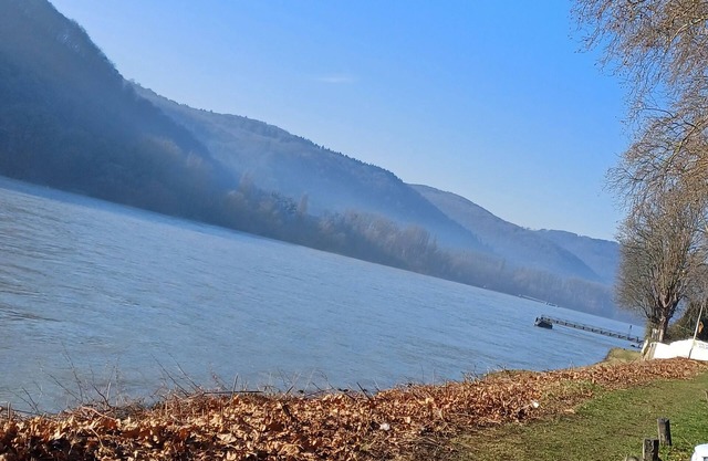 Vacation apartment on the Rhine