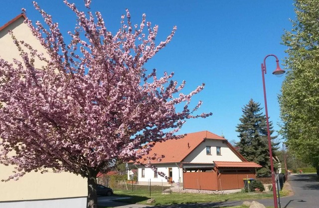Vacation apartment Störmthaler See