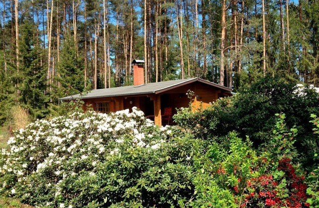 Vacation home for 4 guests with 55m² in Böddenstedt (20539)