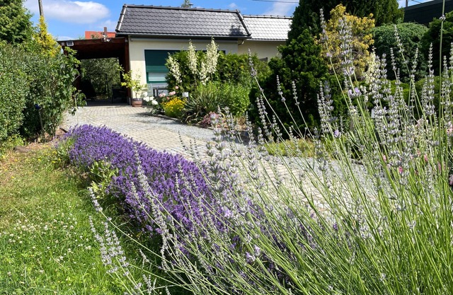 Vacation home for 4 guests with 75m² in Bautzen (167901)