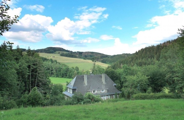 Vacation home for 10 guests with 190m² in Bad Berleburg (146059)