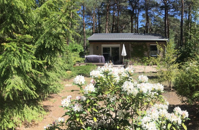 Vacation home forest and lake idyll near bathing lakes, Spreewald and Berlin