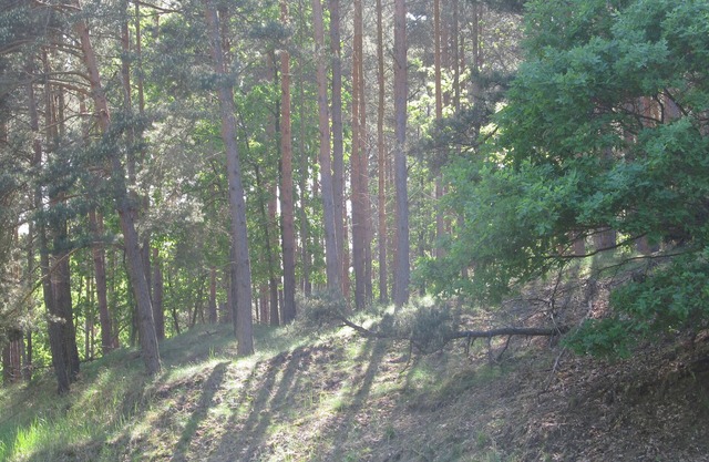 Vacation home Haffblick Altwarp Stettiner Haff