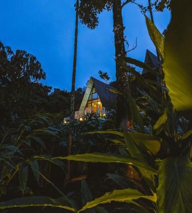 Vagamon Leafmist frame cabin vagamon