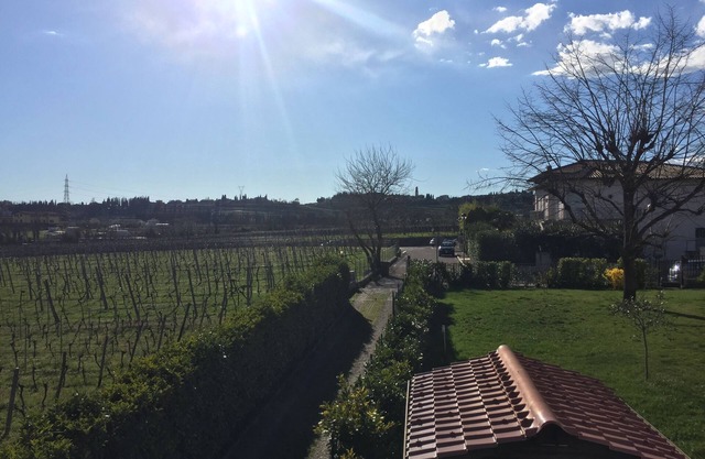 Valpolicella: a look at Valpolicella.