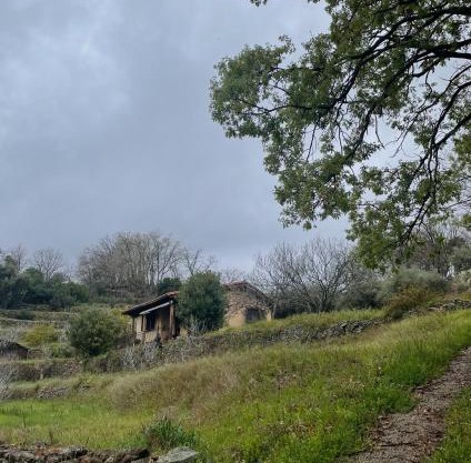 Vergel San Pedro