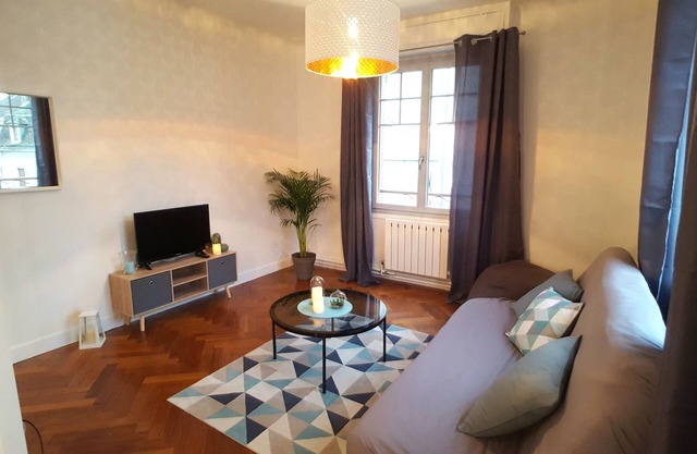 Very bright apartment in the historic center of joigny