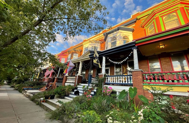 Vibrant Oasis in a Walkable Wonderland - Charles Village 3BR/1BA