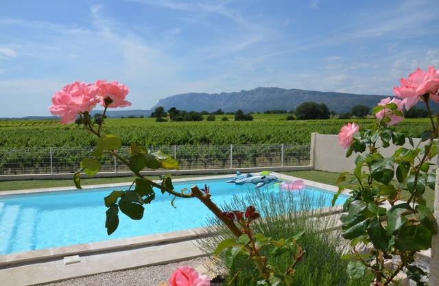 View Sainte Victoire, large new apartment with swimming pool near Aix-en-Provence