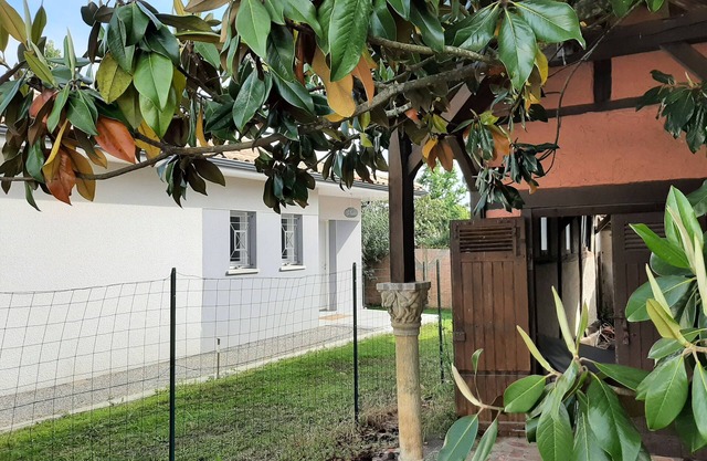 Villa 6 people with swimming pool near Mimizan