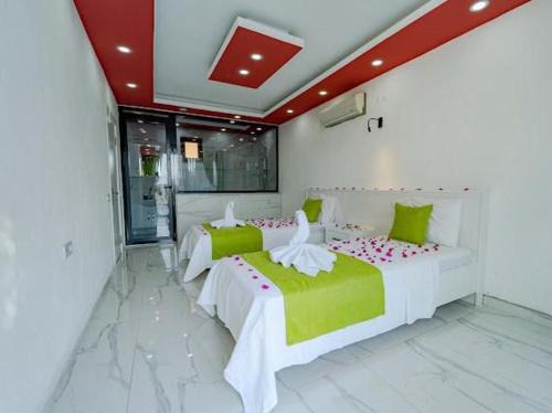 Villa Alya 1-2-3